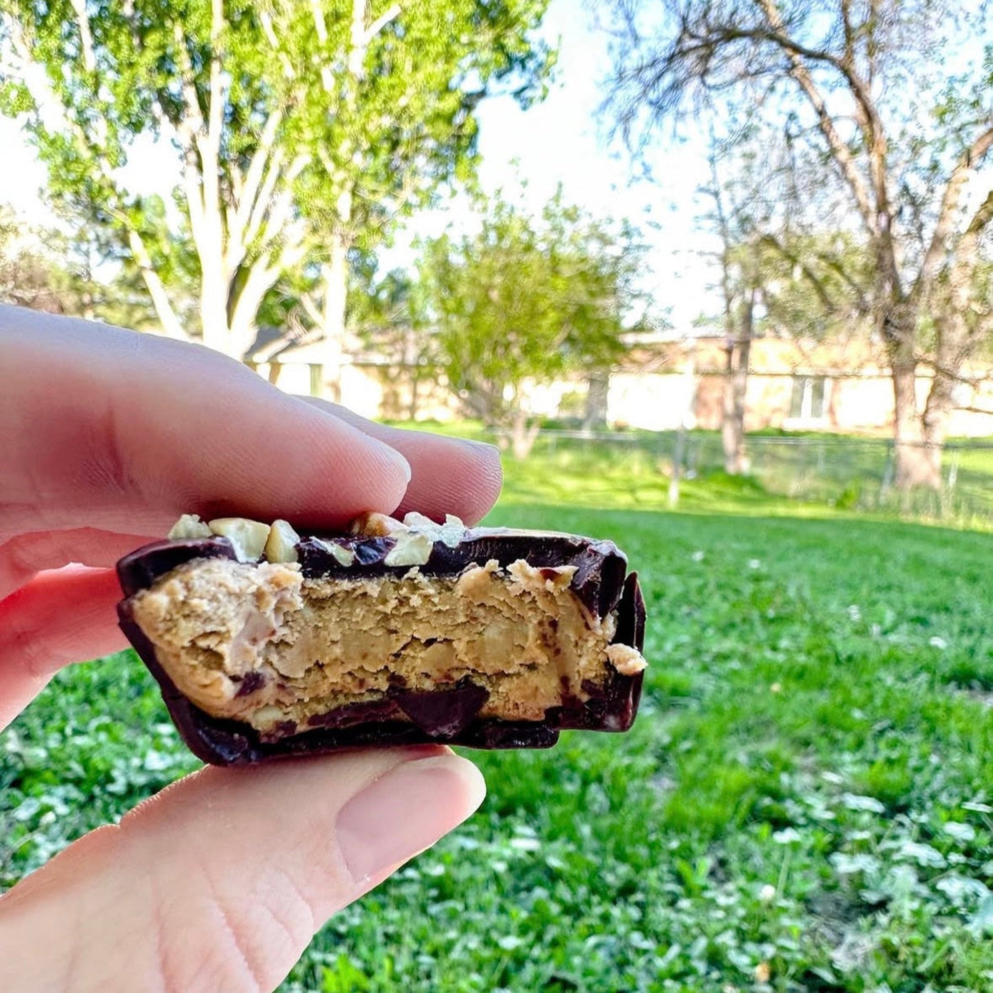 Dark Chocolate Peanut Butter Cup 8 Pack - Tia Coco Healthy Chocolate